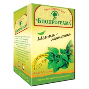 Bioprograma чай Мента и Маточина Премиум 20 бр.